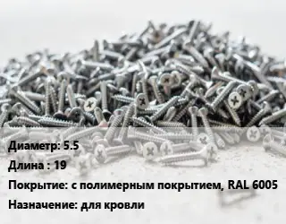 Шуруп 5.5х19 с полимерным покрытием, RAL 6005 для кровли